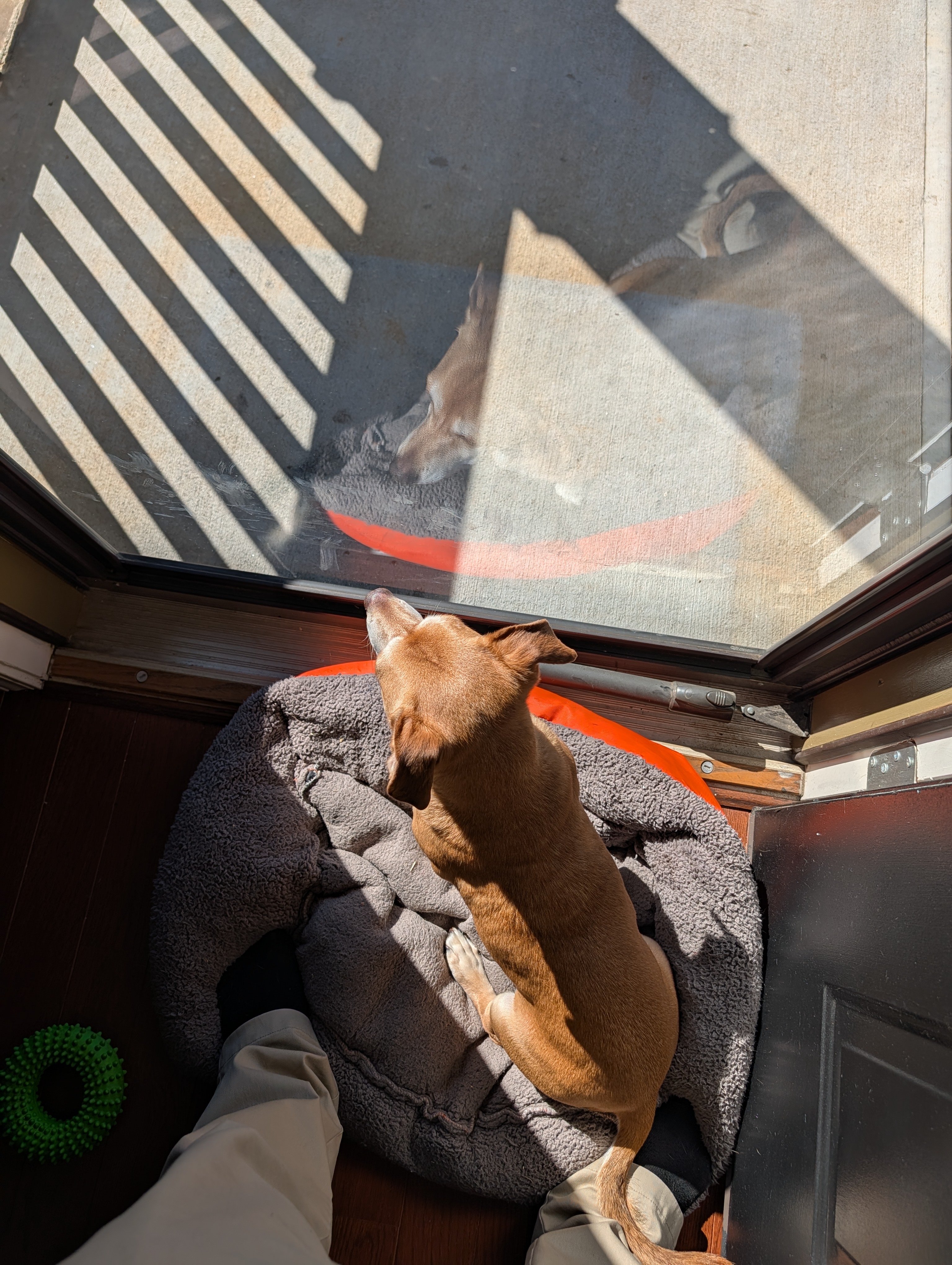 Shadow resting in the lab space